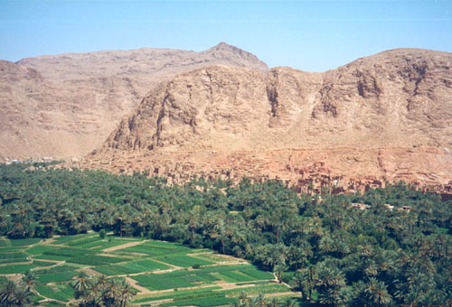 Toudra